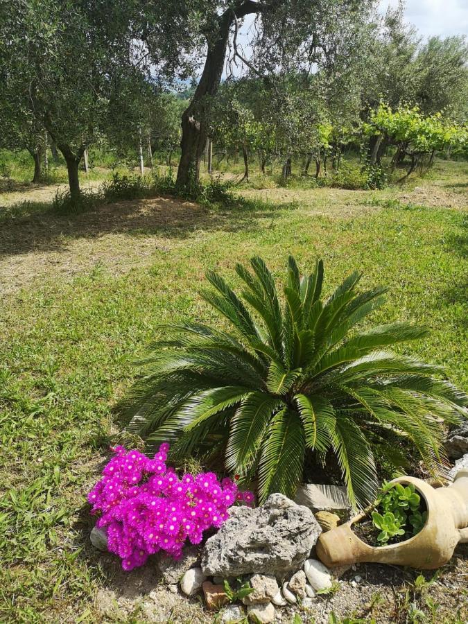 B&B Stella Dell'Adriatico Ortona Eksteriør billede