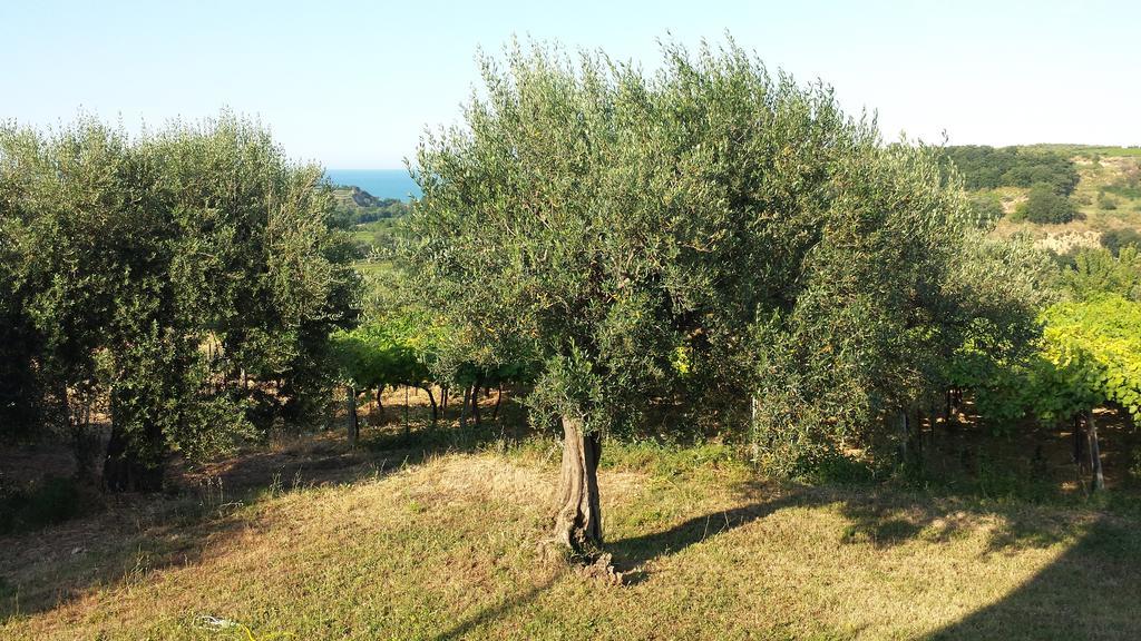 B&B Stella Dell'Adriatico Ortona Eksteriør billede