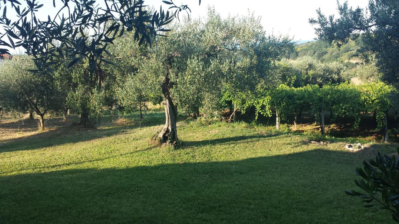 B&B Stella Dell'Adriatico Ortona Eksteriør billede