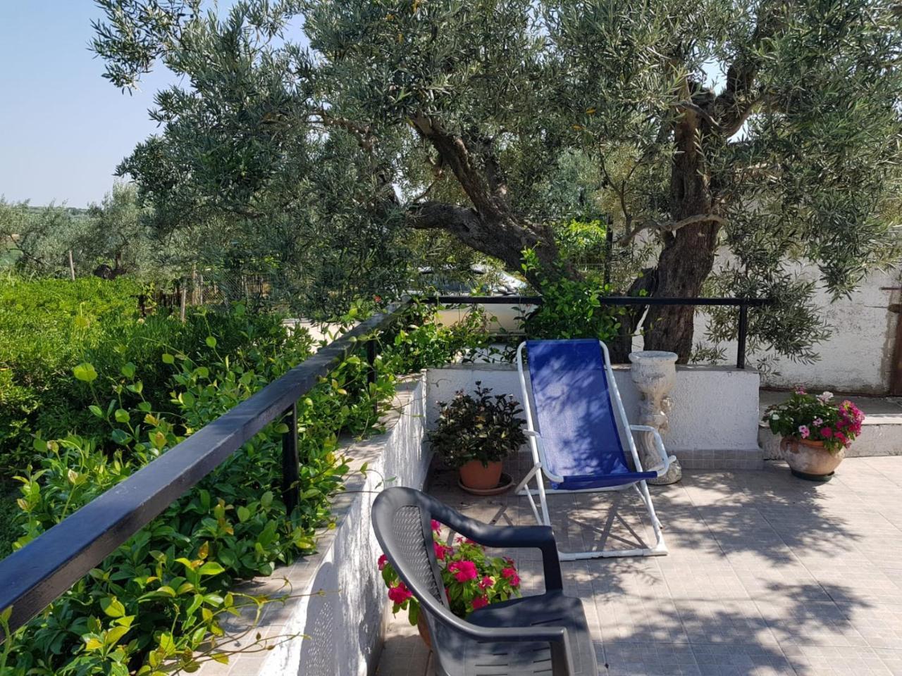 B&B Stella Dell'Adriatico Ortona Eksteriør billede